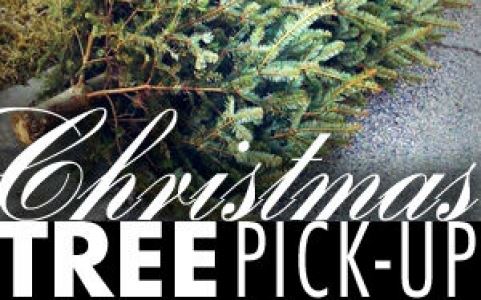 Christmas-Tree-Pick-Up