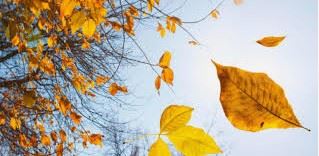 Screenshot 2025-09-05 143435