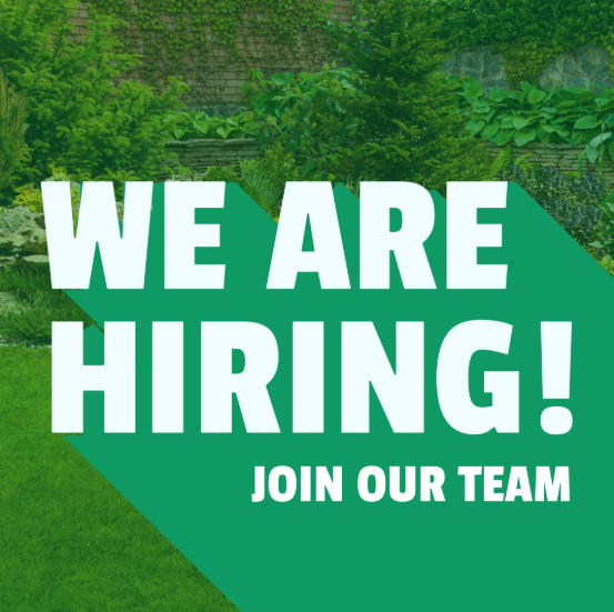 Screenshot 2026-03-30 113941